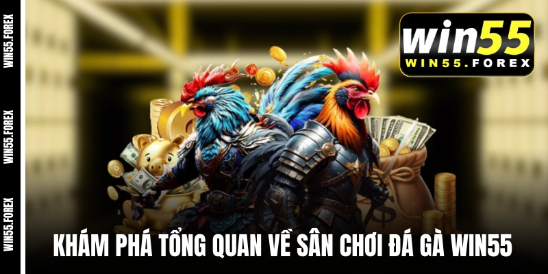 Khám phá tổng quan về sân chơi đá gà WIN55 