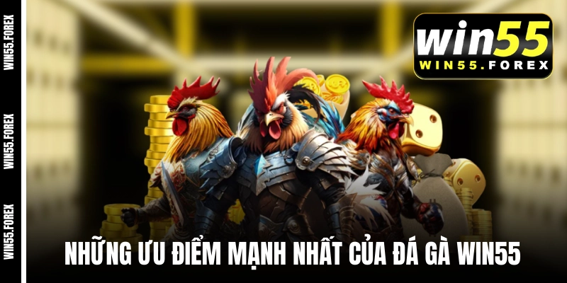 Những ưu điểm mạnh nhất của đá gà WIN55 