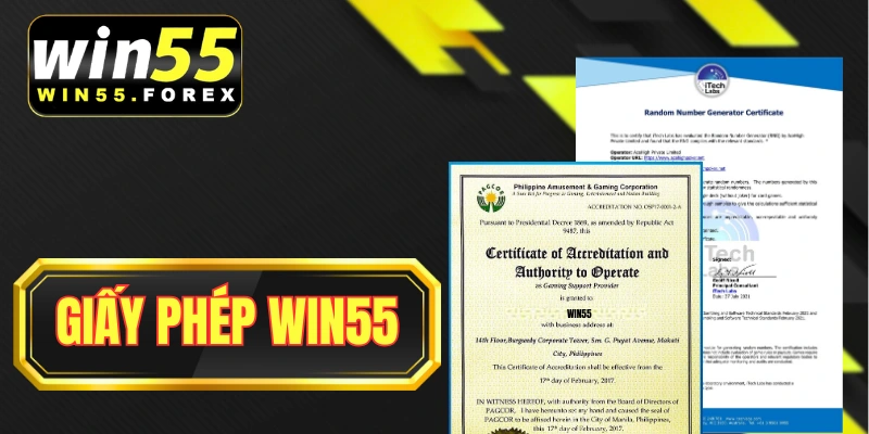 Giấy phép hoạt động