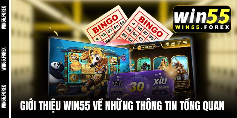 Giới thiệu WIN55 về những thông tin tổng quan