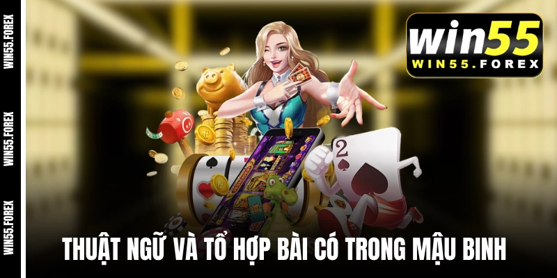 Thuật ngữ và tổ hợp bài có trong Mậu Binh WIN55 