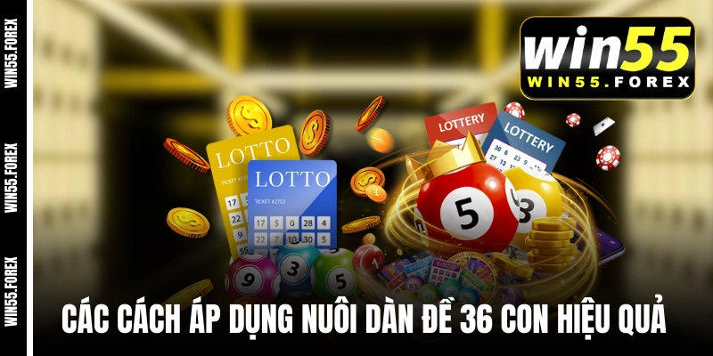 Các cách áp dụng nuôi dàn đề 36 con hiệu quả nhất