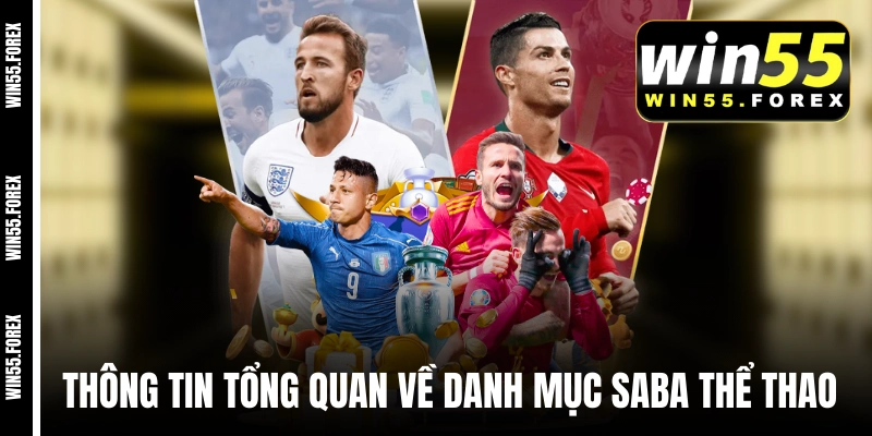 Vài thông tin tổng quan về danh mục SABA thể thao
