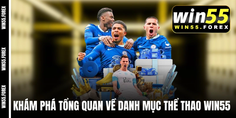 Khám phá tổng quan về danh mục thể thao WIN55 