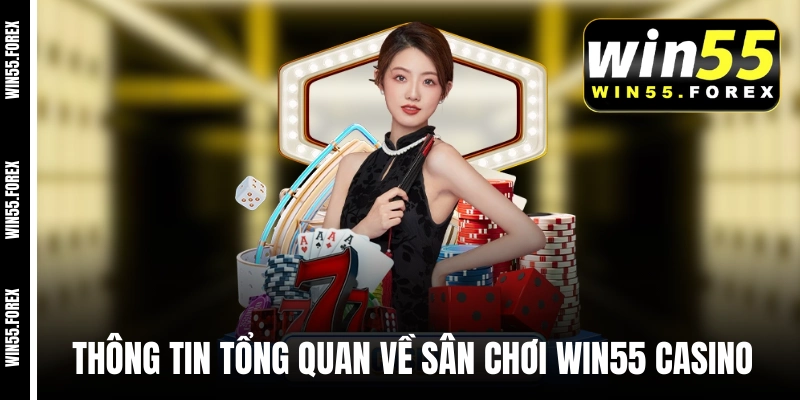Thông tin tổng quan về sân chơi WIN55 COM casino