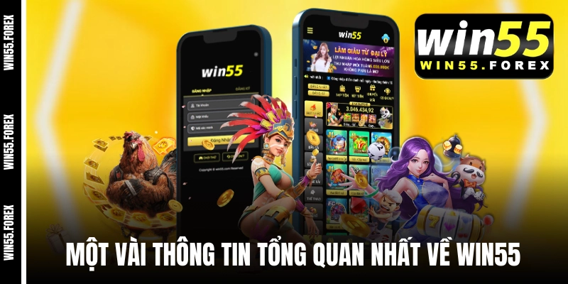 Một vài thông tin tổng quan nhất về WIN55 